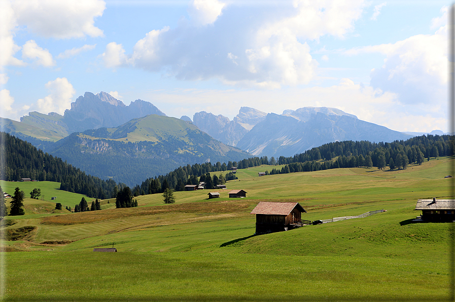 foto Alpe di Siusi